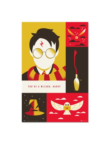 Poster Harry Potter 100 Aniversario Wb