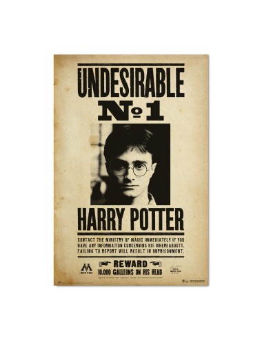 Poster Harry Potter Undesirable N1
